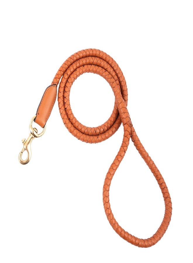 ADIL'S Adil’S Braided Rolled Drum Dyed Leather Dog Leash with 360 Degree Rotating Clasp 5 FT Long, Non-Slip Grip Handle, Suitable for Large & Medium Dogs, Cognac - Image 1